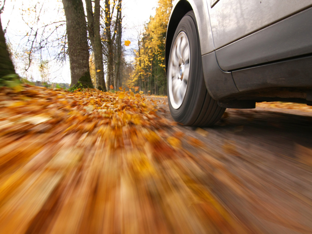 Conducerea în siguranță pe asfaltul acoperit de frunze